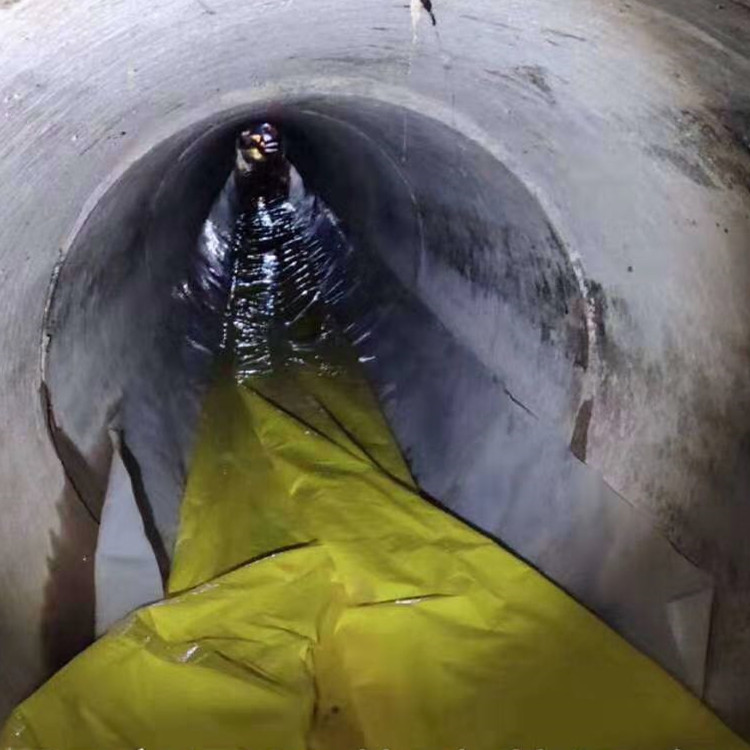 博湖管道光固化修复